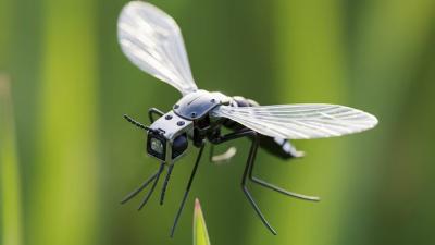 mosquito-sized-drones-2_2025061486400