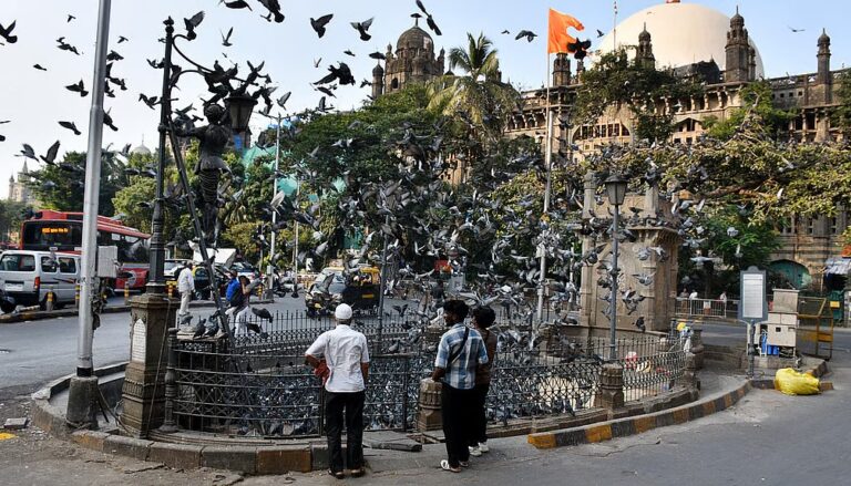 freepressjournal-marathi_2025-07-04_1v0rjbjx_kabutarkhana-fpj