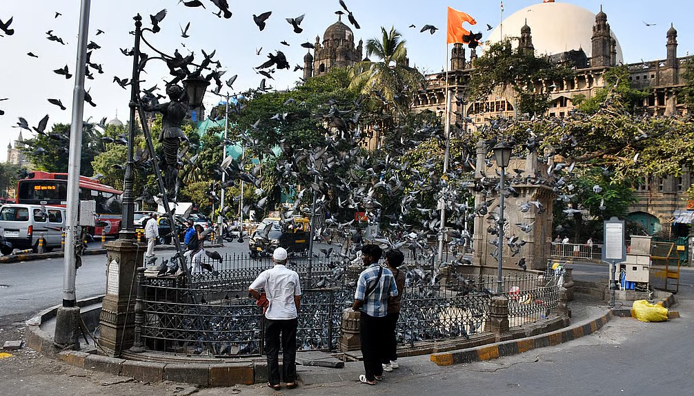 freepressjournal-marathi_2025-07-04_1v0rjbjx_kabutarkhana-fpj