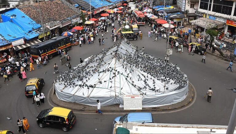 freepressjournal-marathi_2025-08-11_0jw15cui_03H25SA034