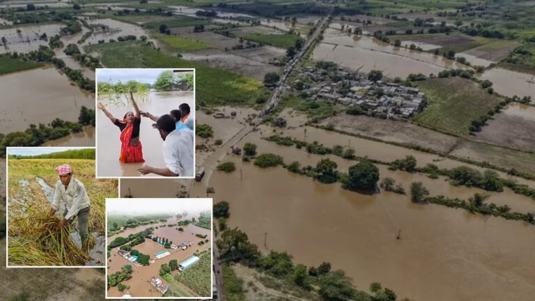 freepressjournal-marathi_2025-09-24_gnmhimqn_marathavada-flood