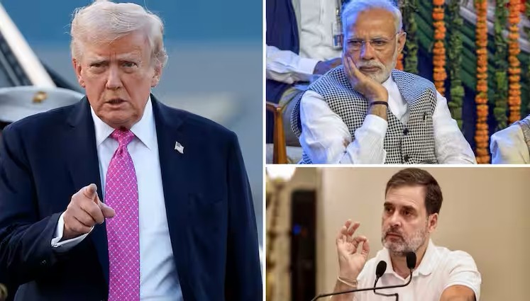 72cc237e074bff9799246fc5515da49a1760593826864736_original