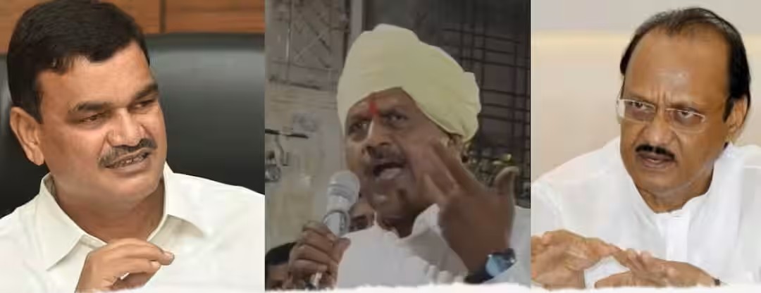 fcd683024a46fedafec6ed459514a95617630088335541075_original