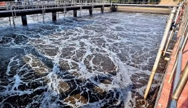 freepressjournal-marathi_2025-11-03_oxqjay7v_colabawater