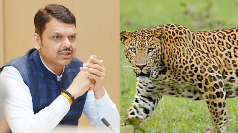 freepressjournal-marathi_2025-11-19_06c1orna_Leopard-Attacks