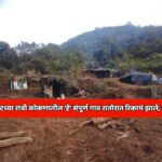 936753-shiral-agavpalan