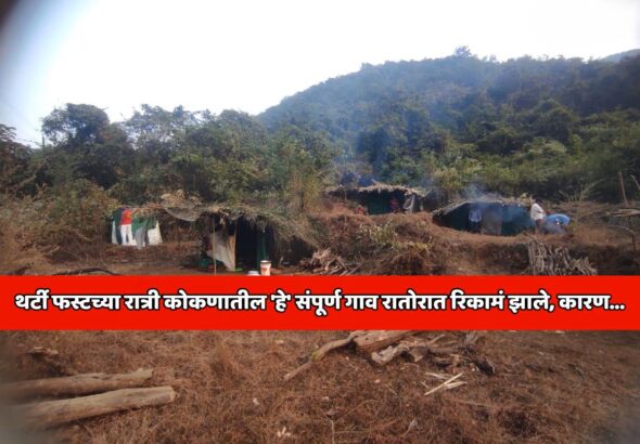 936753-shiral-agavpalan