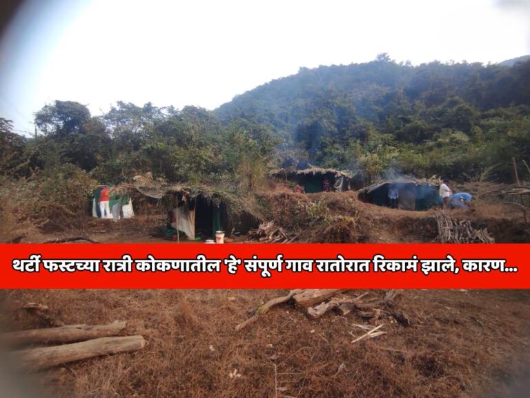 936753-shiral-agavpalan