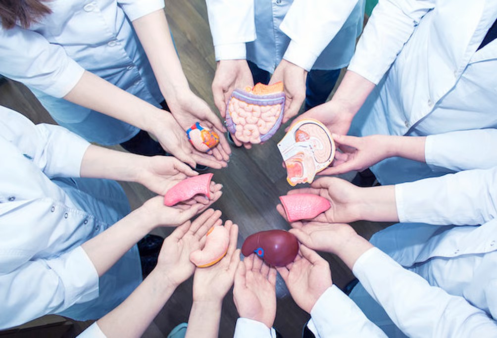 freepressjournal-marathi_2026-01-07_9qsmzp3a_shutterstock1075250543